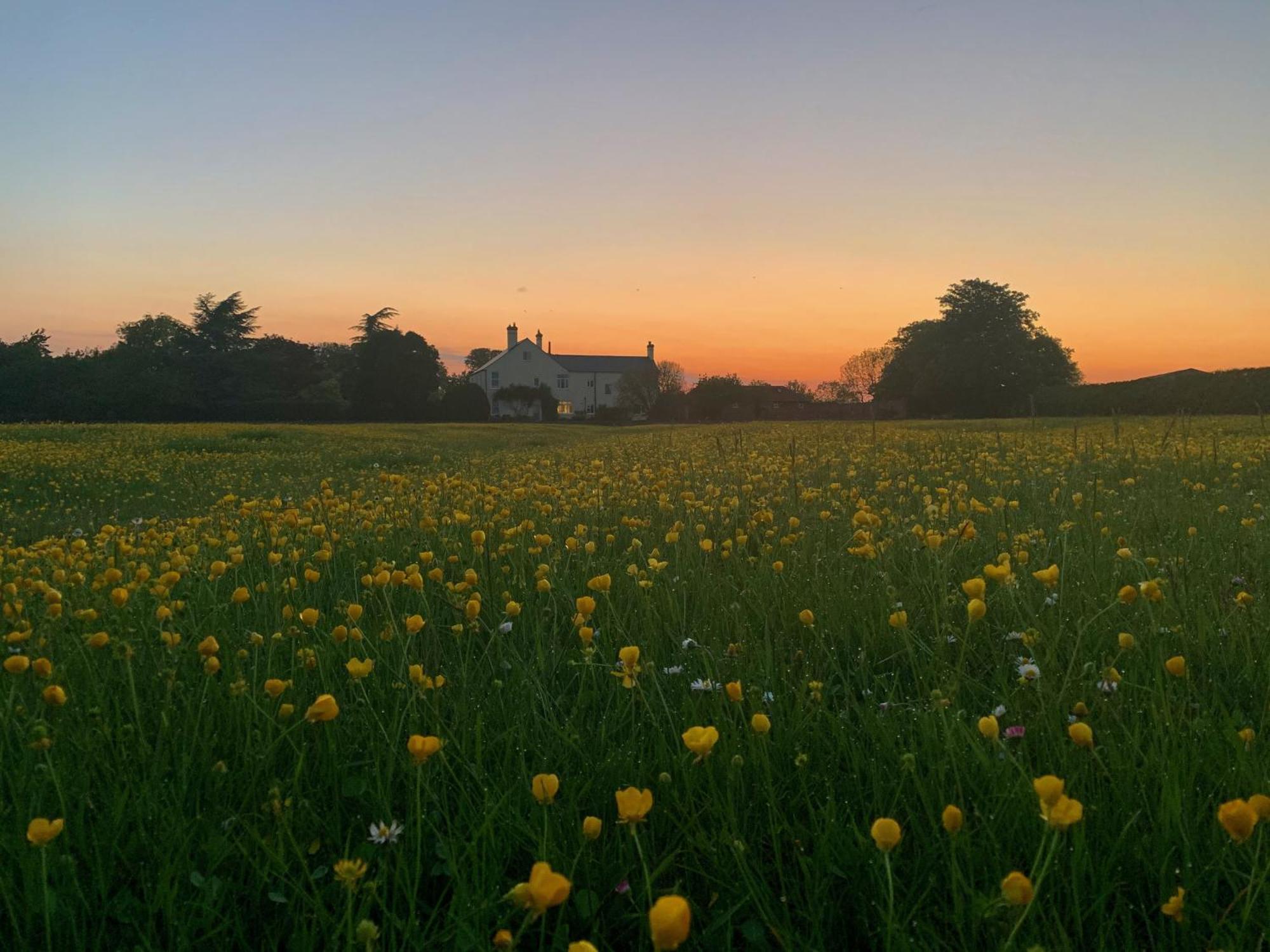 The Chestnuts Country House Boutique B&B Kilvington Eksteriør billede